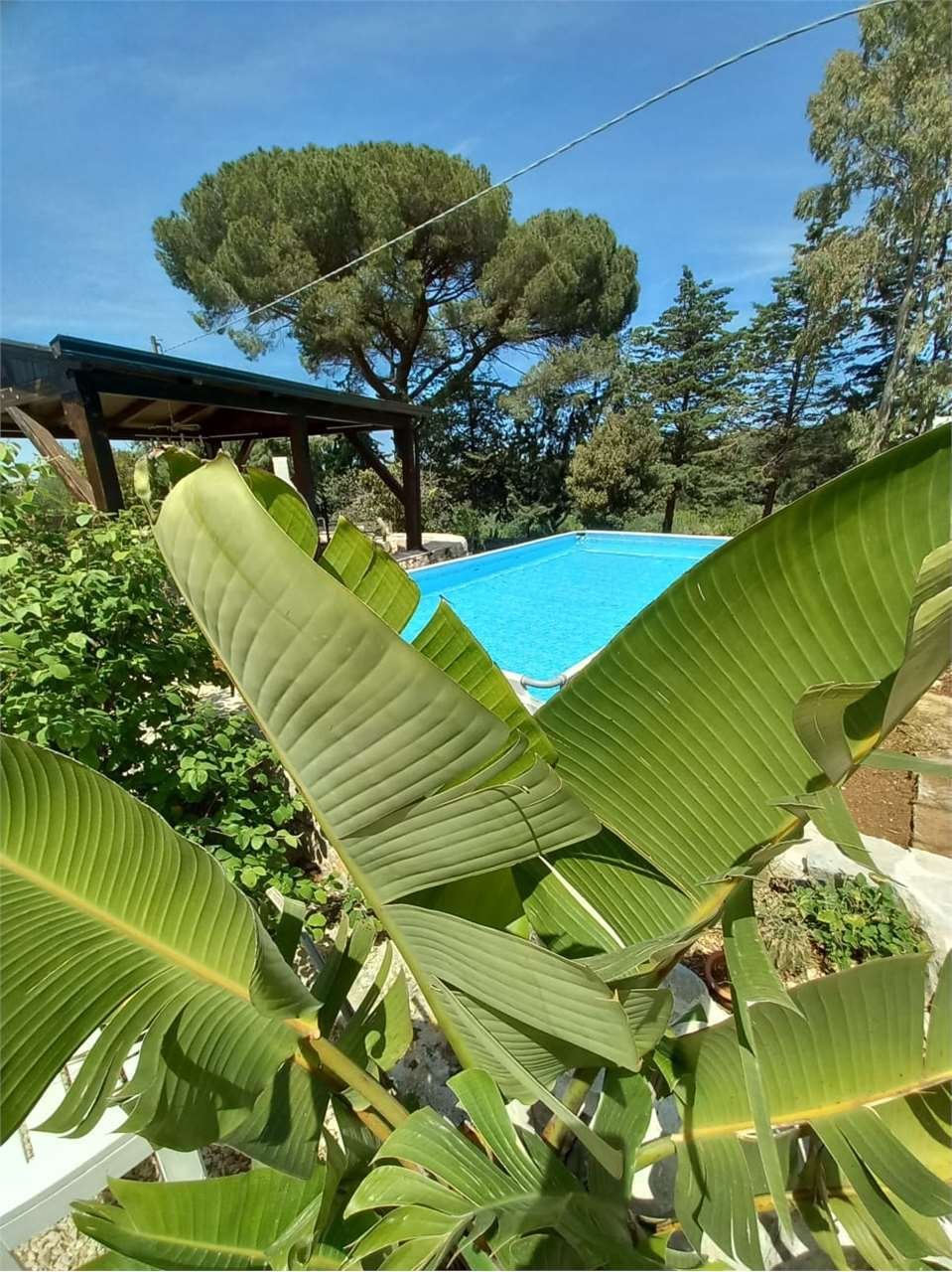 Villa in Gorgofreddo, Monopoli, Apulia 2 - 15074715