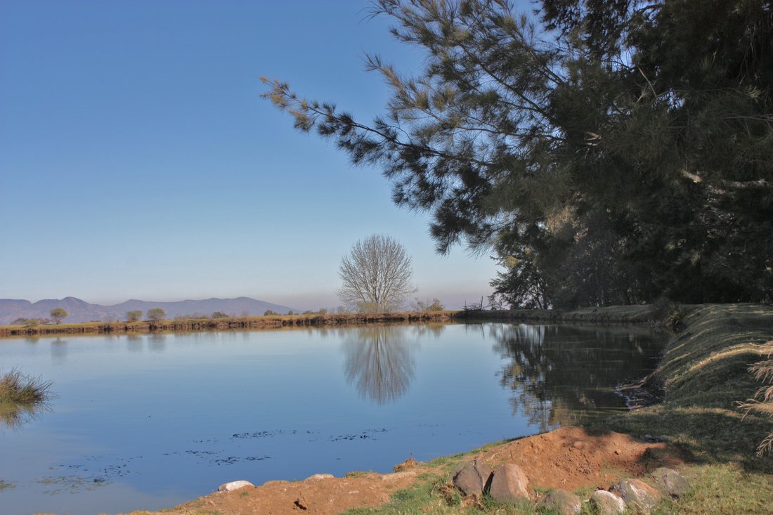 Land in San Miguel Dehetí, Querétaro, Mexico 4 - 10240479