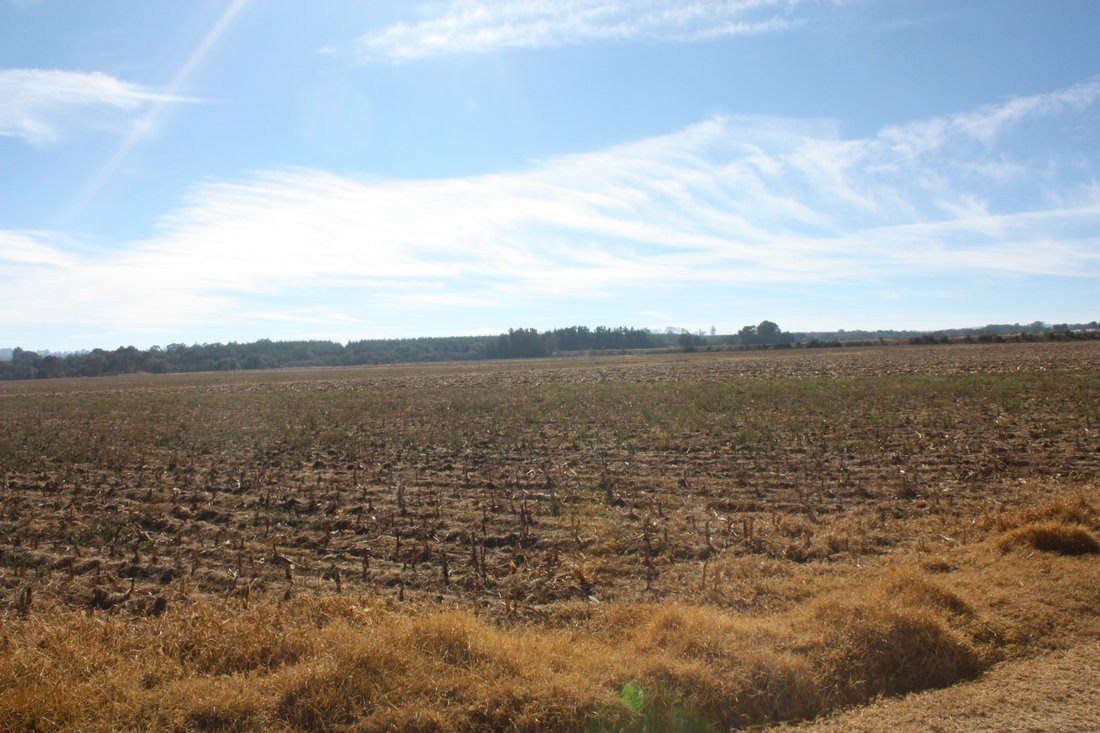 Land in San Miguel Dehetí, Querétaro, Mexico 3 - 10240479