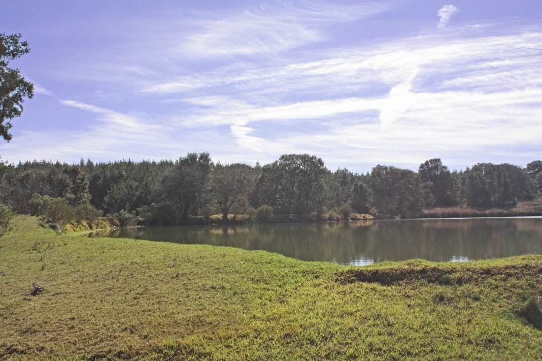 Land in San Miguel Dehetí, Querétaro, Mexico 1 - 10240479