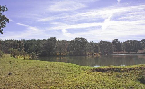 Land in San Miguel Dehetí, Querétaro, Mexico 1