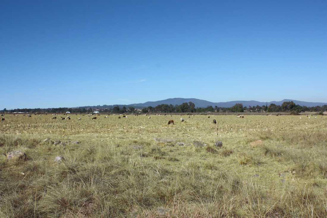 Land in San Miguel Dehetí, Querétaro, Mexico 5 - 10240479