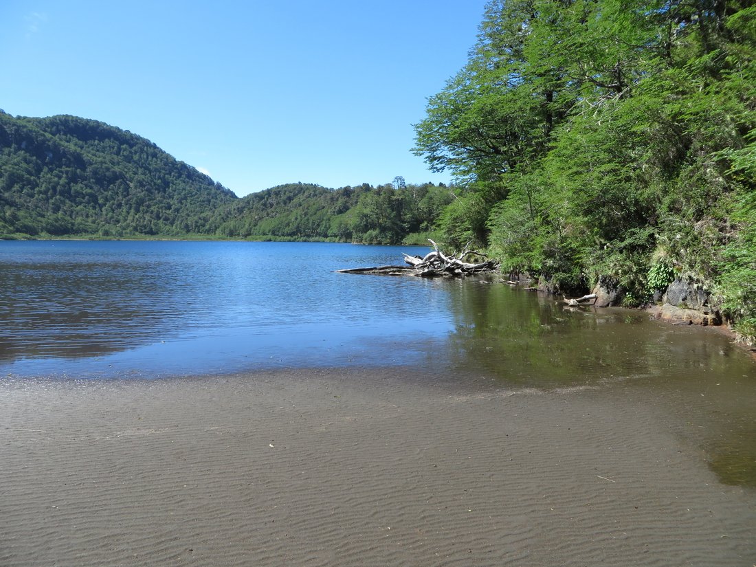 Land in Puerto Montt, Los Lagos, Chile 2 - 10911485