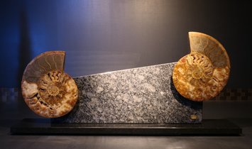 Tycoon Stone magnetischer Messerblock aus Steel Grey mit einem geteiltem Ammoniten 2,5g 999.9 Gold  