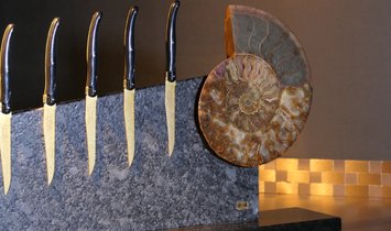 Tycoon Stone magnetischer Messerblock aus Steel Grey mit einem geteiltem Ammoniten 2,5g 999.9 Gold  