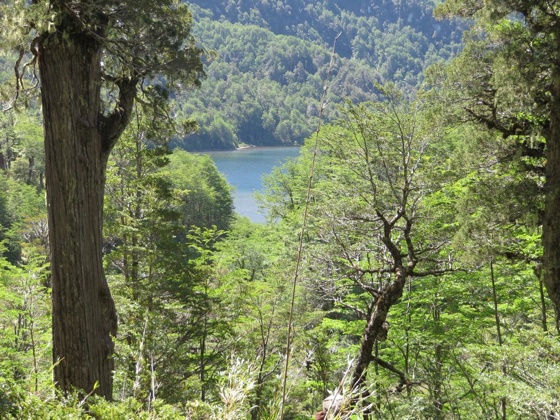 Land in Puerto Montt, Los Lagos, Chile 5 - 10911485