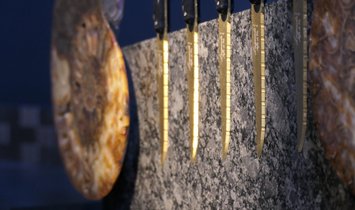 Tycoon Stone magnetischer Messerblock aus Steel Grey mit einem geteiltem Ammoniten 2,5g 999.9 Gold  