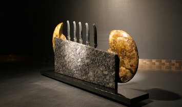 Tycoon Stone magnetischer Messerblock aus Steel Grey mit einem geteiltem Ammoniten 2,5g 999.9 Gold  