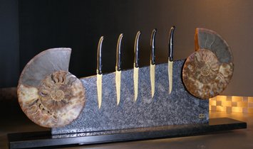 Tycoon Stone magnetischer Messerblock aus Steel Grey mit einem geteiltem Ammoniten 2,5g 999.9 Gold  