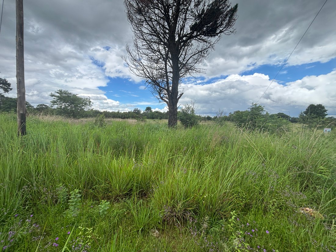 Land in City of Tshwane Metropolitan Municipality, Gauteng, South Africa 3 - 14761779