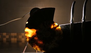 Tycoon Stone magnetischer Messerblock aus Steel Grey mit einem geteiltem Ammoniten 2,5g 999.9 Gold  