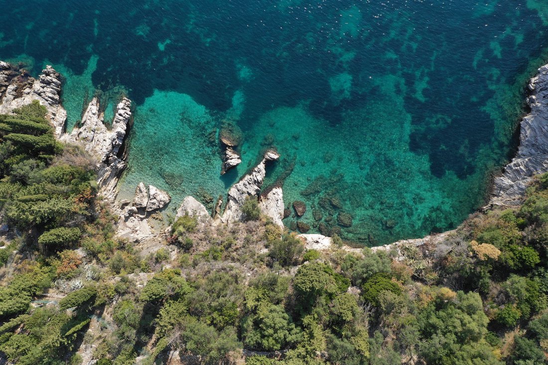 Wohnung in Korfu, Peloponnese, Western Greece and the Ionian, Griechenland 5 - 10486632
