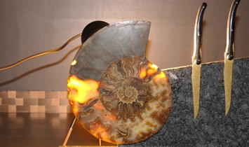 Tycoon Stone magnetischer Messerblock aus Steel Grey mit einem geteiltem Ammoniten 2,5g 999.9 Gold  