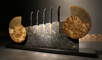 Tycoon Stone magnetischer Messerblock aus Steel Grey mit einem geteiltem Ammoniten 2,5g 999.9 Gold  