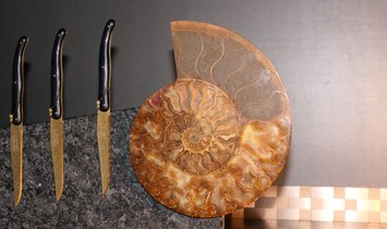 Tycoon Stone magnetischer Messerblock aus Steel Grey mit einem geteiltem Ammoniten 2,5g 999.9 Gold  