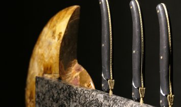 Tycoon Stone magnetischer Messerblock aus Steel Grey mit einem geteiltem Ammoniten 2,5g 999.9 Gold  