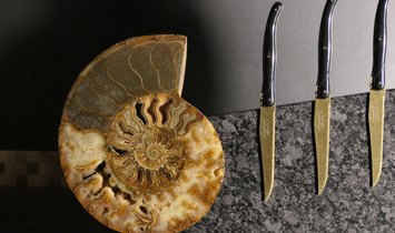 Tycoon Stone magnetischer Messerblock aus Steel Grey mit einem geteiltem Ammoniten 2,5g 999.9 Gold  