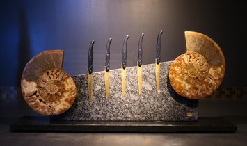 Tycoon Stone magnetischer Messerblock aus Steel Grey mit einem geteiltem Ammoniten 2,5g 999.9 Gold   (15072927)