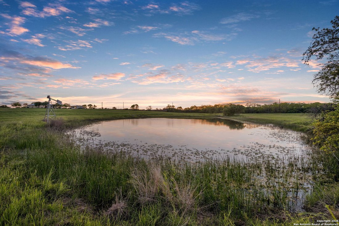 Farm Ranch in San Antonio, Texas, United States 5 - 15079292