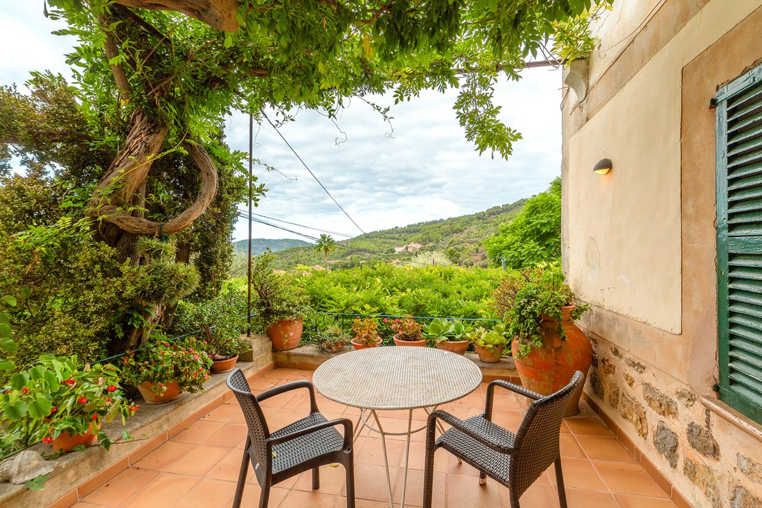 Finca in Fornalutx, Balearic Islands, Spain 4 - 14780590