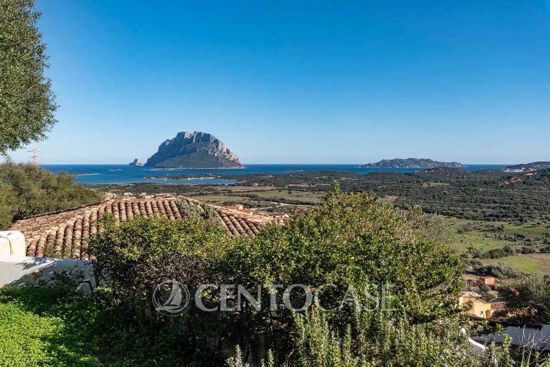 Villa in Loiri Porto San Paolo, Sardinia, Italy 2 - 14052463