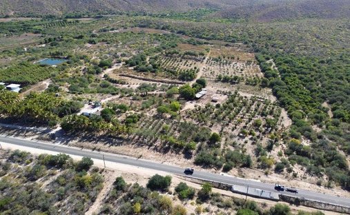 Land in La Ribera, Baja California Sur, Mexico 1