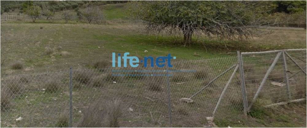 Land in Lavreotiki Community, Attica, Greece 1 - 15084974