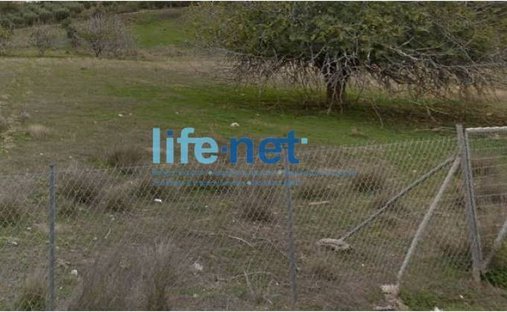 Land in Lavreotiki Community, Attica, Greece 1