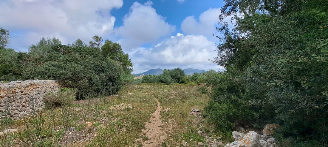 Casa di campagna a Sant Llorenç des Cardassar, Isole Baleari, Spagna 5 - 15085208