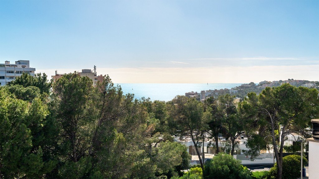 House in Palma, Balearic Islands, Spain 4 - 15085377