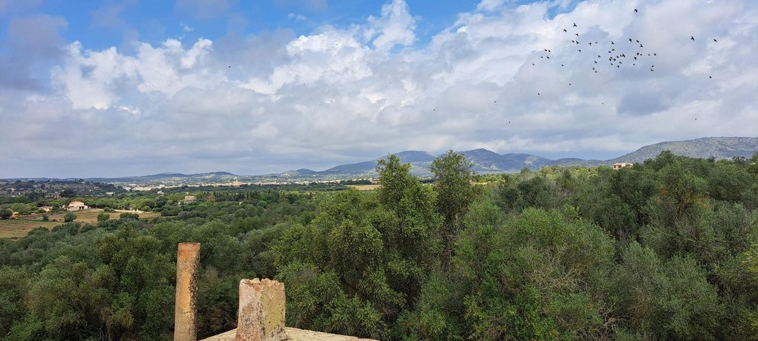 Casa di campagna a Sant Llorenç des Cardassar, Isole Baleari, Spagna 3 - 15085208
