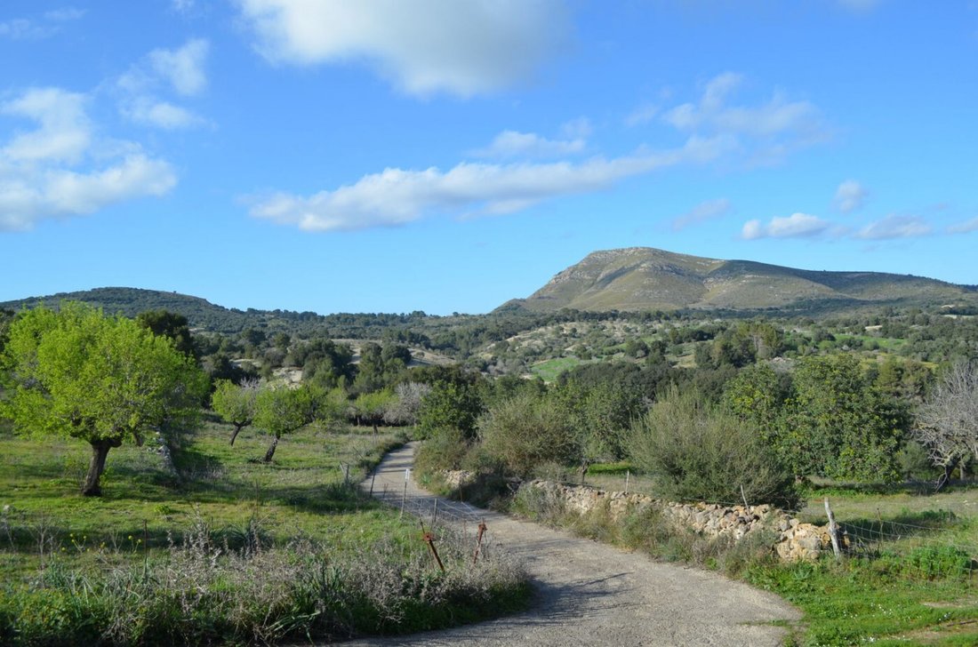 Country House in Sant Llorenc des Cardassar, Balearic Islands, Spain 4 - 15085201