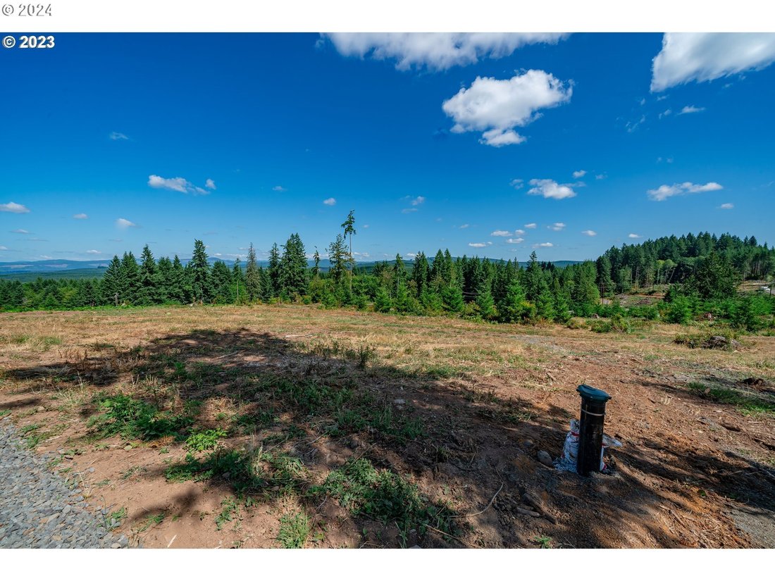 House in Castle Rock, Washington, United States 5 - 15085518