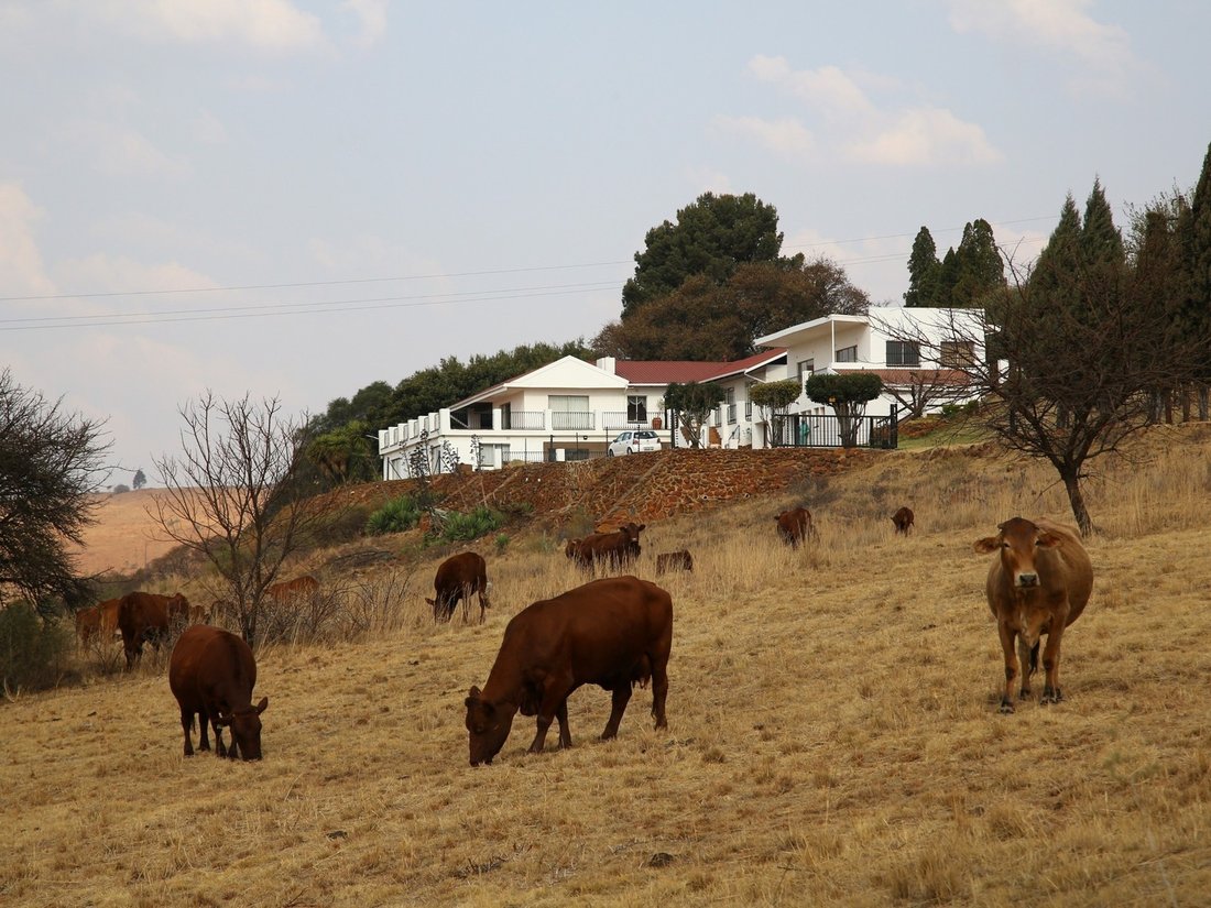 Farm Ranch in Hartzenbergfontein AH, Vaal Marina, South Africa 5 - 15086079