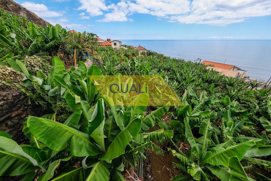Haus in Madalena do Mar, Autonome Region Madeira, Portugal 5 - 15088649