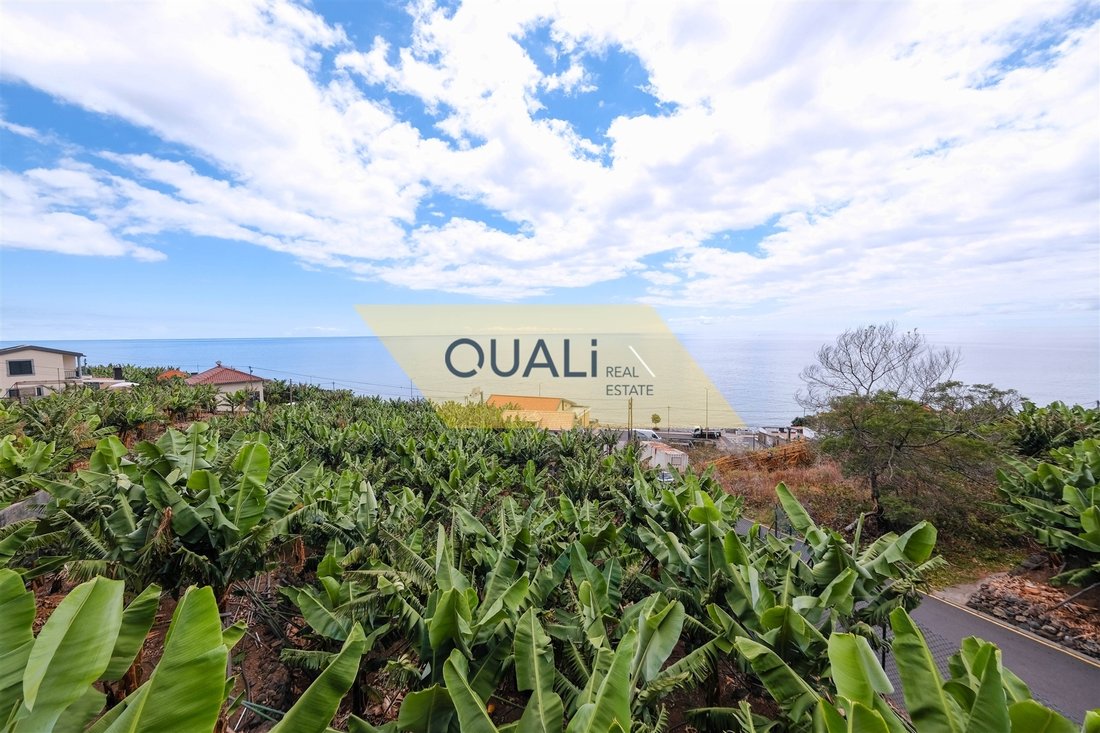 Haus in Madalena do Mar, Autonome Region Madeira, Portugal 4 - 15088649