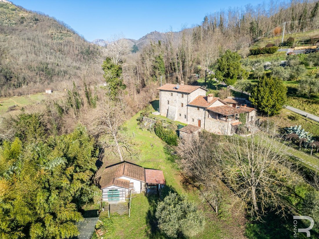 Farm Ranch in Fosciandora, Toskana, Italien 1 - 15089037