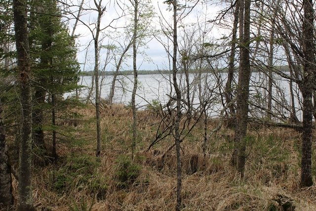 Land in Deer River, Minnesota, United States 2 - 10406206