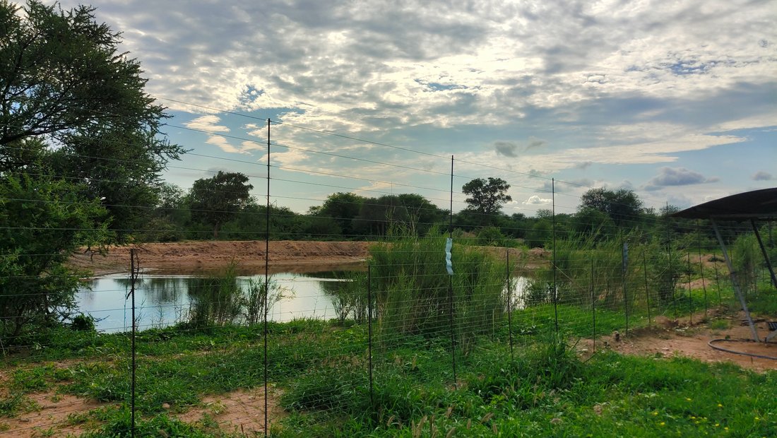 Farm Ranch in Alldays, Limpopo, South Africa 2 - 15088922
