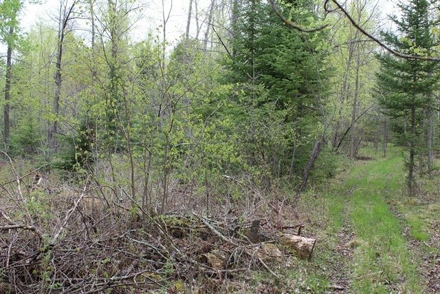Land in Deer River, Minnesota, United States 4 - 10406206