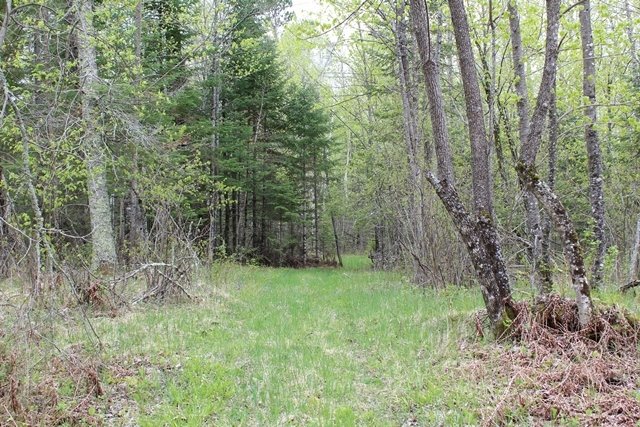 Land in Deer River, Minnesota, United States 3 - 10406206