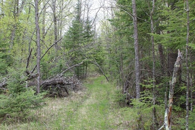 Land in Deer River, Minnesota, United States 5 - 10406206