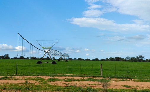 Farm Ranch in Alldays, Limpopo, South Africa 1