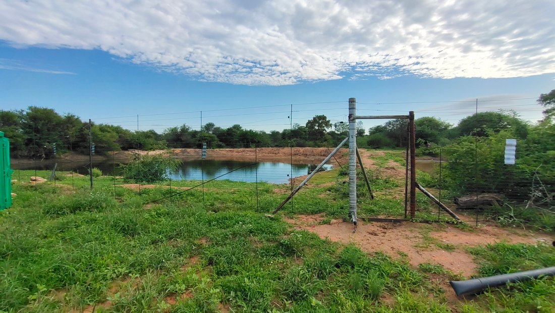 *Exceptional 951.5 Hectare Farm For Sale With In Alldays, Limpopo