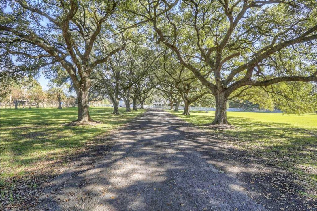 Houston, Texas, United States 3 - 15088481
