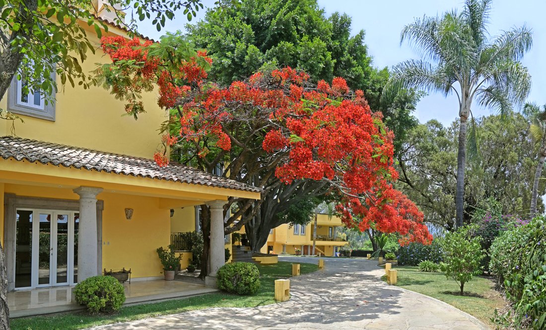 Villa in Cuernavaca, Morelos, Mexico 4 - 15090193