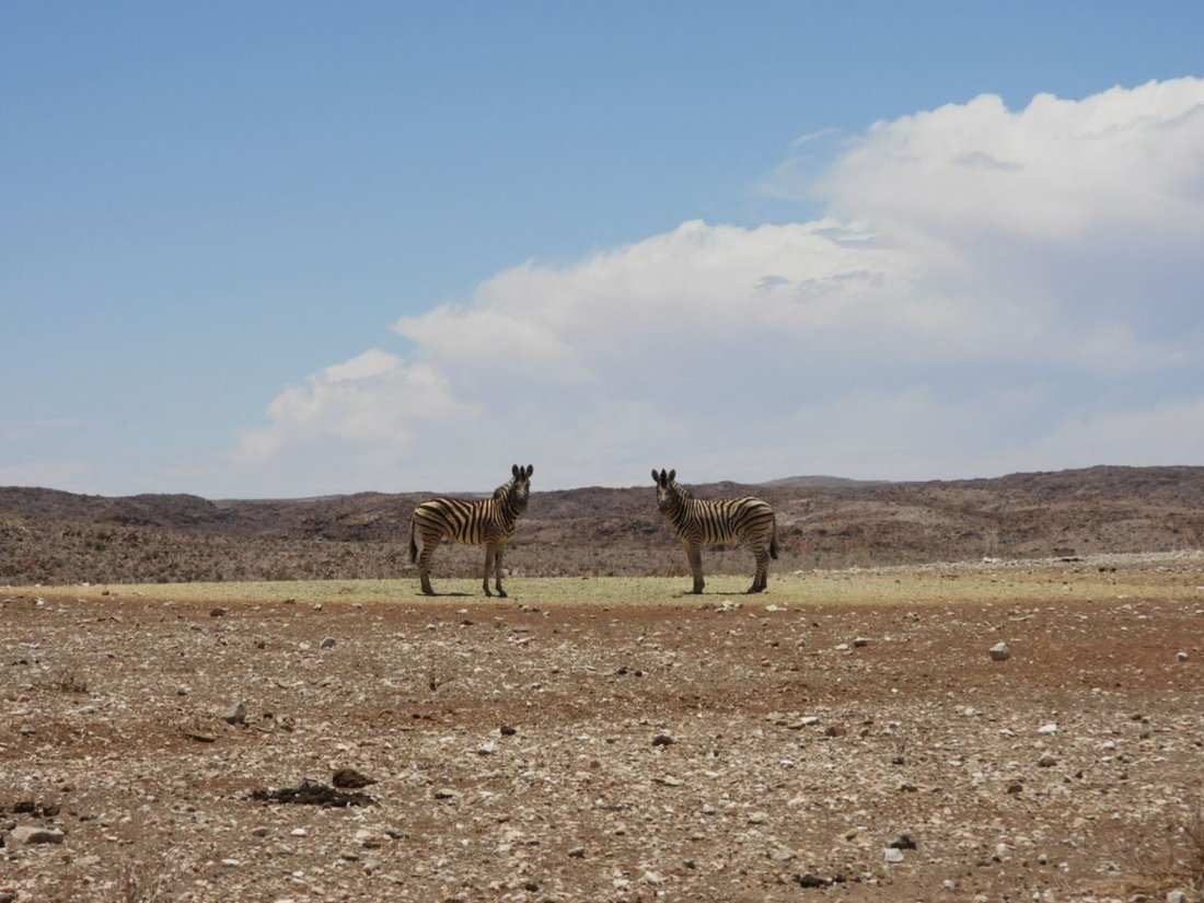 Farm Ranch in Noordoewer, Karas Region, Namibia 5 - 15091091