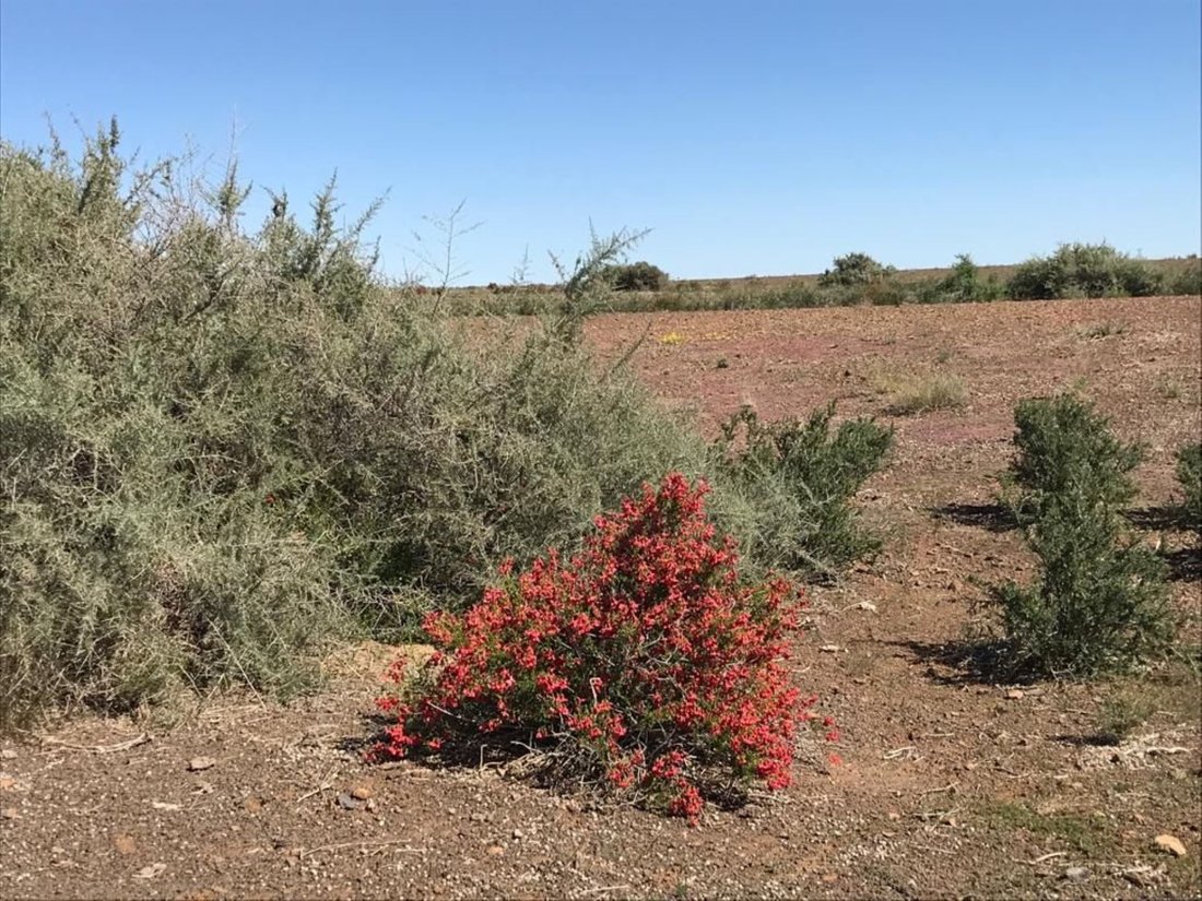 Farm Ranch in Karasburg, Karas Region, Namibia 2 - 15091101