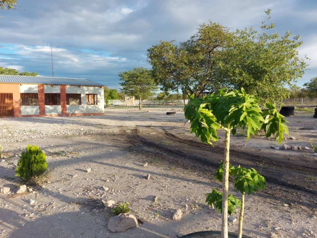 Farm Ranch in Tsumeb, Oshana Region, Namibia 2 - 15091082