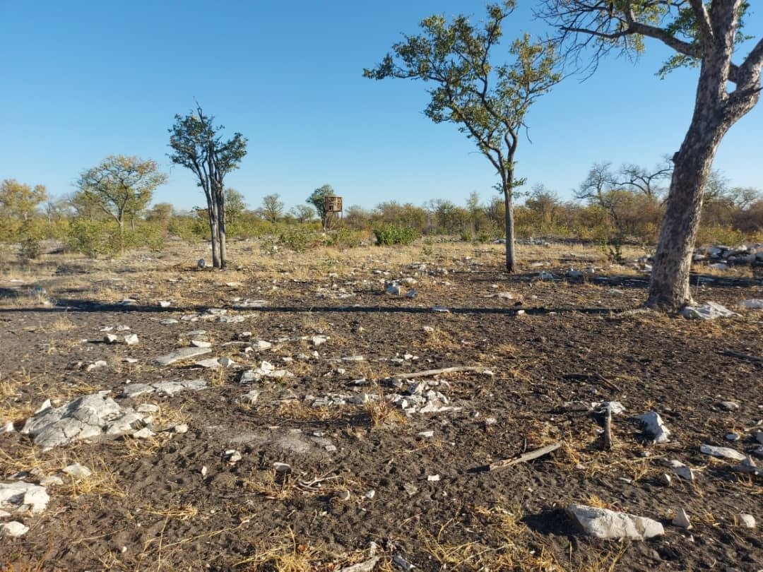 Farm Ranch in Tsumeb, Oshana Region, Namibia 3 - 15091082